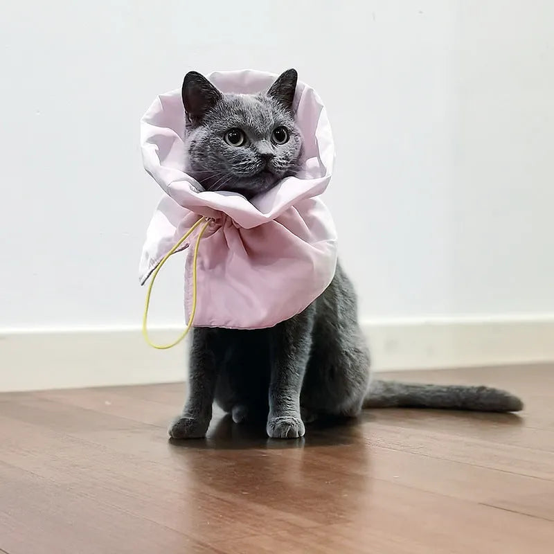 Adjustable soft cat recovery cone collar in blue with elastic buckle for post-surgery protection