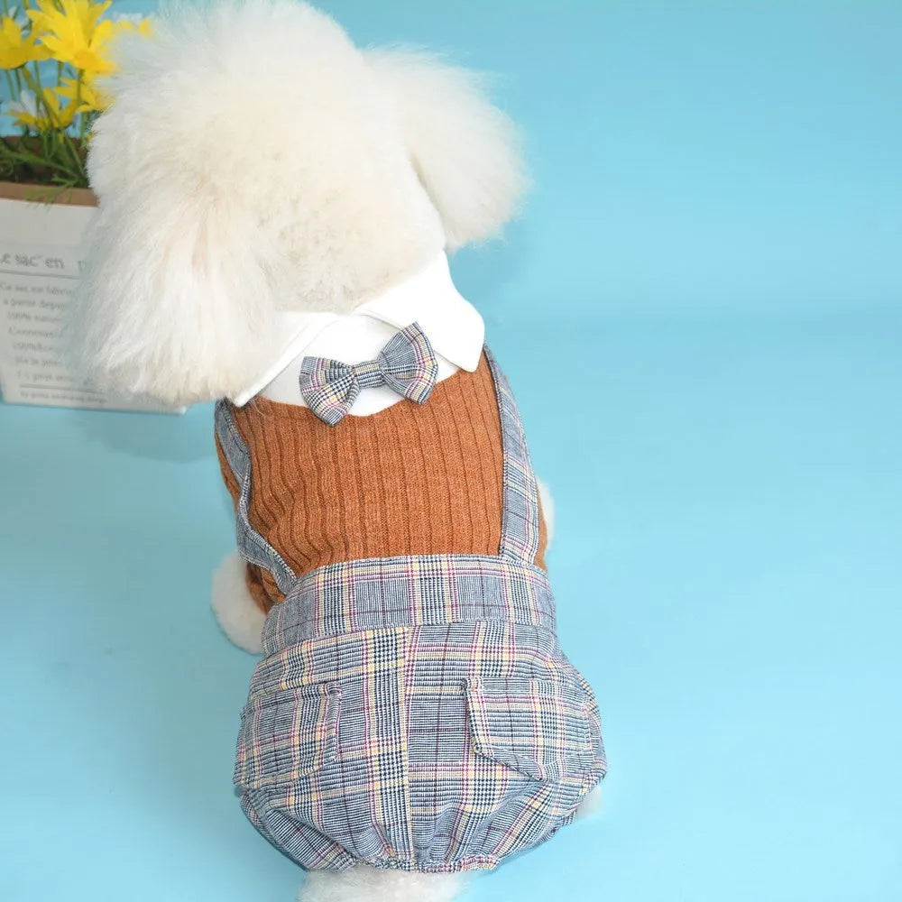 Dog wearing cotton shirt in orange or dark blue with collar and button design