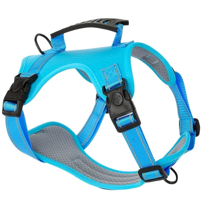 A dog harness and lead set in a choice of six colours, made from durable polyester with an adjustable chest strap.