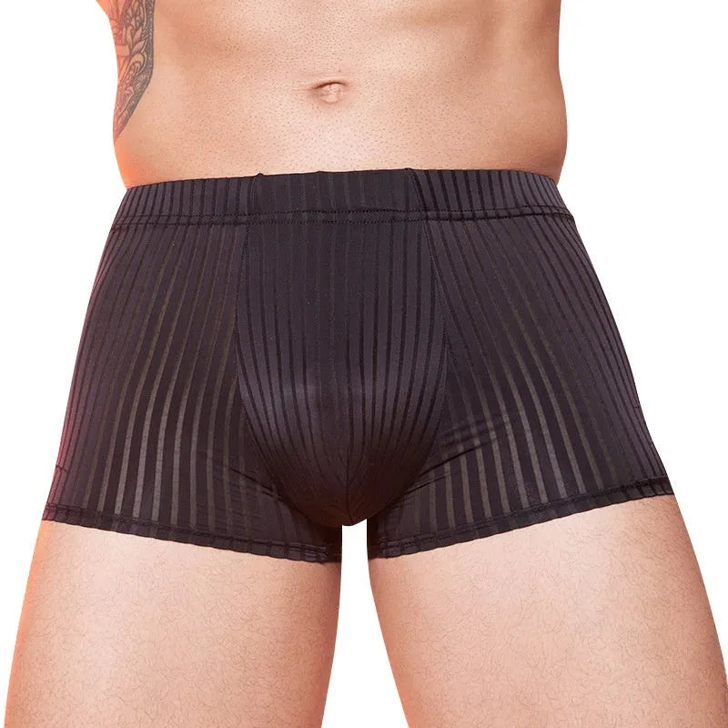 Men's striped nylon underwear in thin transparent fabric, black dark grey white colours