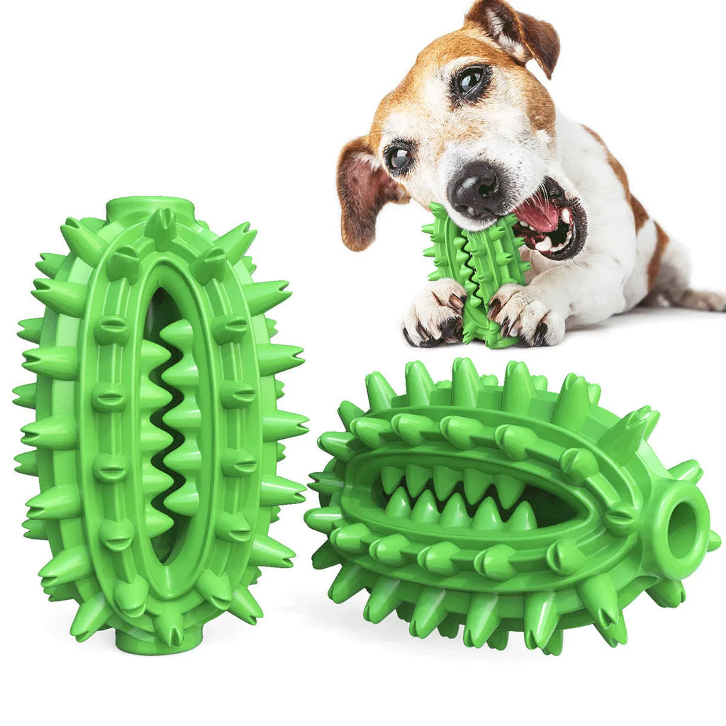 Green cactus-shaped dog chew toy with textured cleaning surfaces and central treat channel