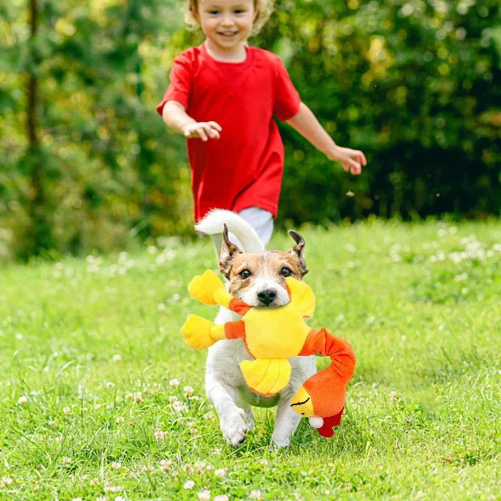 Screaming chicken squeaky dog toy in orange with bite-resistant construction
