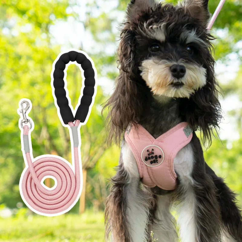 Blue polyester dog walking vest and leash set shown on a small dog