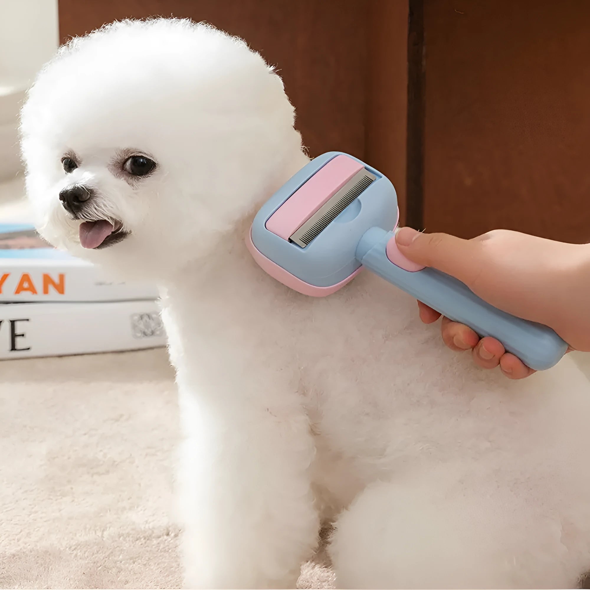 Blue and green double-sided pet grooming brush with deshedding rake and dematting comb on a white background