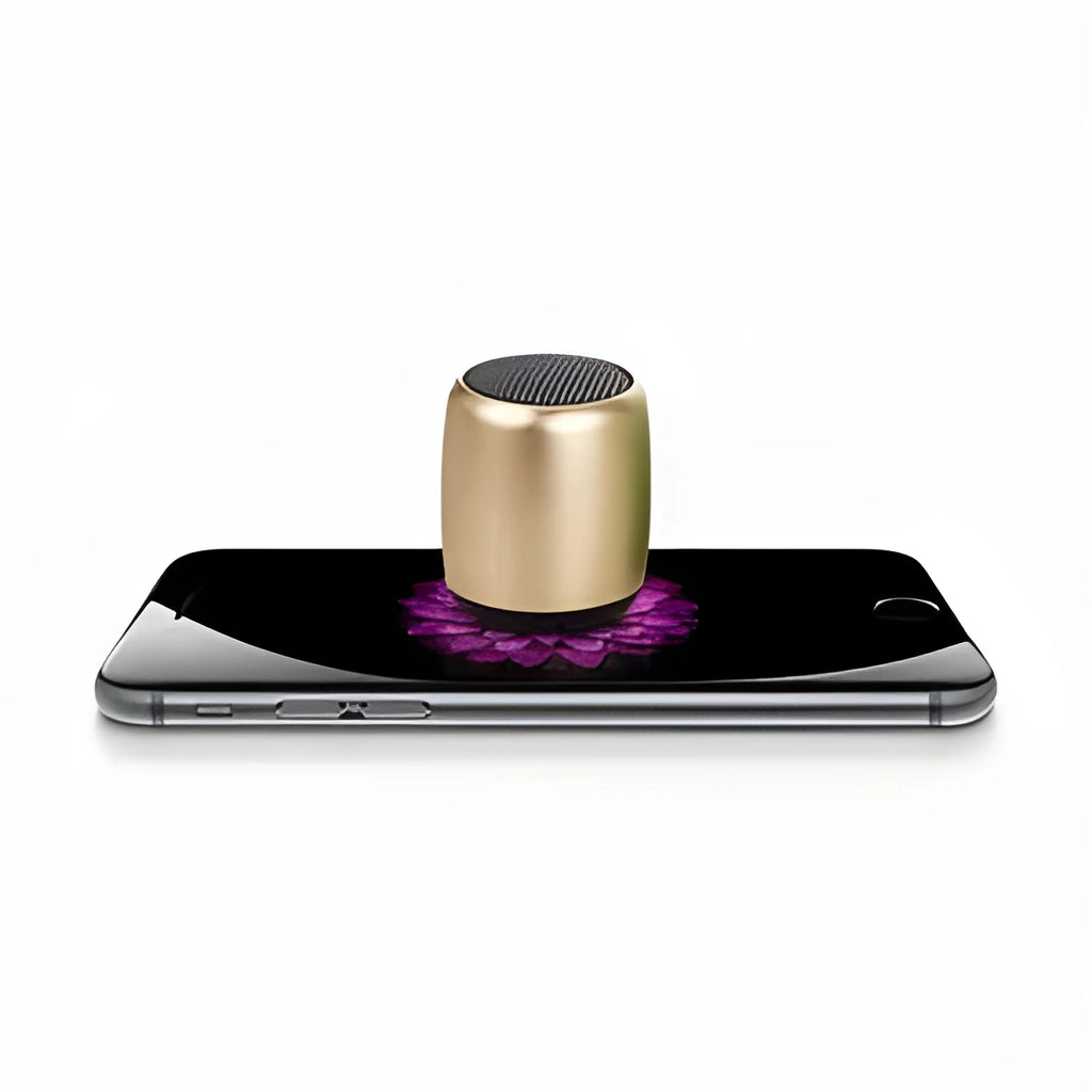 Small portable outdoor mini speaker in black, blue, gold or pink with Bluetooth wireless capability