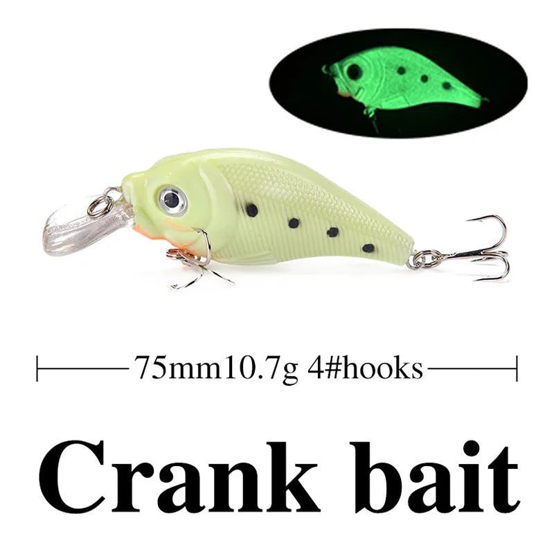 Set of five 3D fluorescent simulation hard bait fishing lures with luminous features
