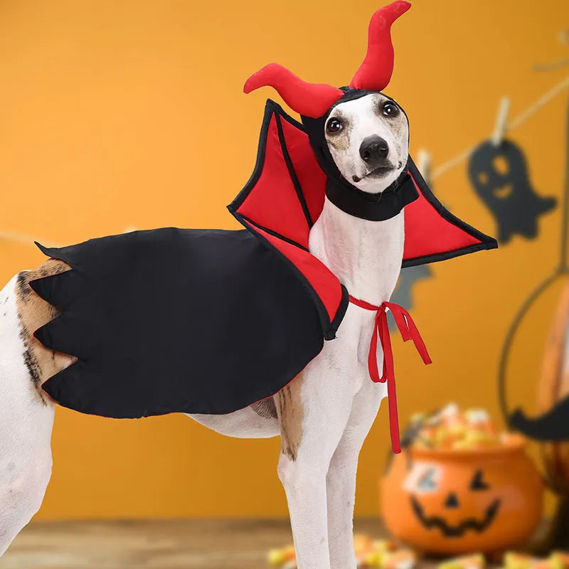 Black pet vampire costume with cloak and hat for Halloween dress up