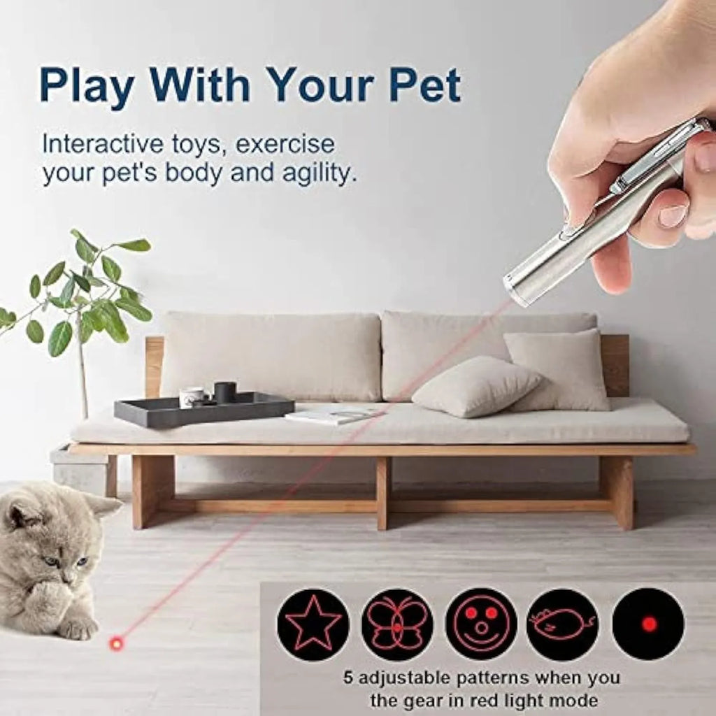 Silver aluminium cat laser pointer toy showing pattern selection gear and USB charging port