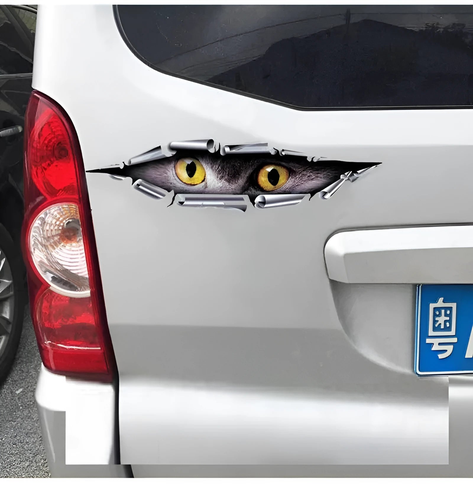Tiger Eye Eagle Eye 3D car bumper sticker vinyl decal 10x35cm
