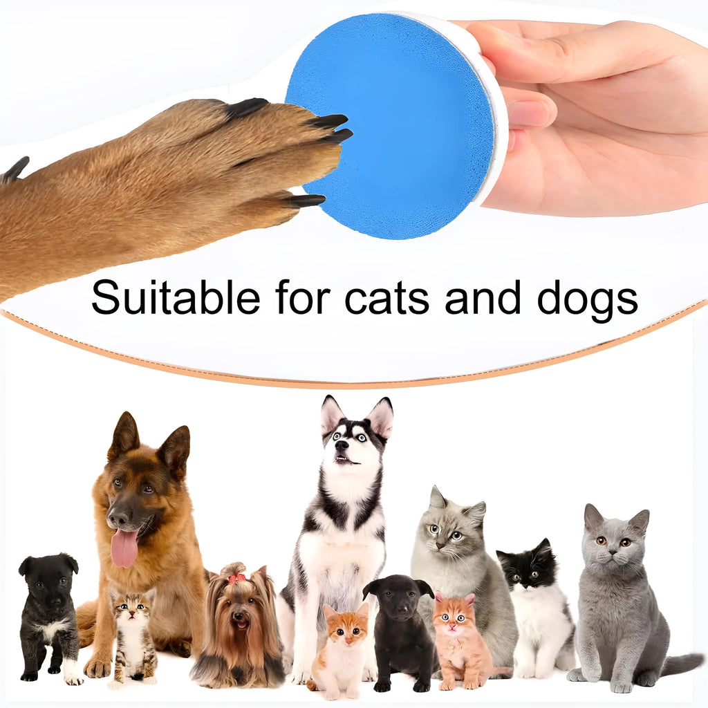 Upgraded dog nail file with ergonomic handle and blue-coloured scratch board for pet grooming.