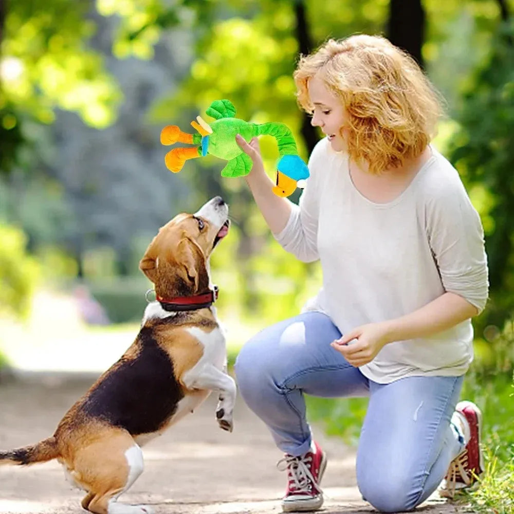 Screaming chicken squeaky dog toy in orange with bite-resistant construction