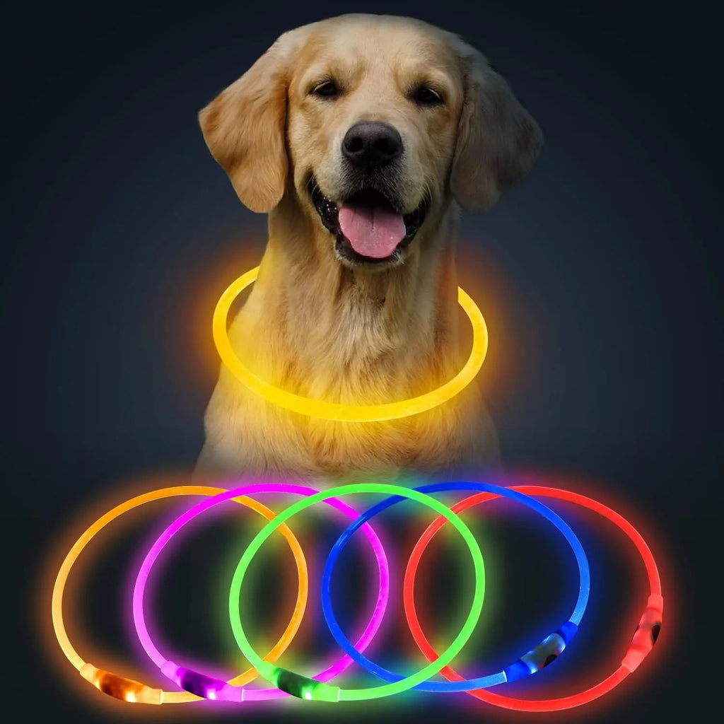 USB rechargeable LED dog collar glowing in dark with adjustable strap
