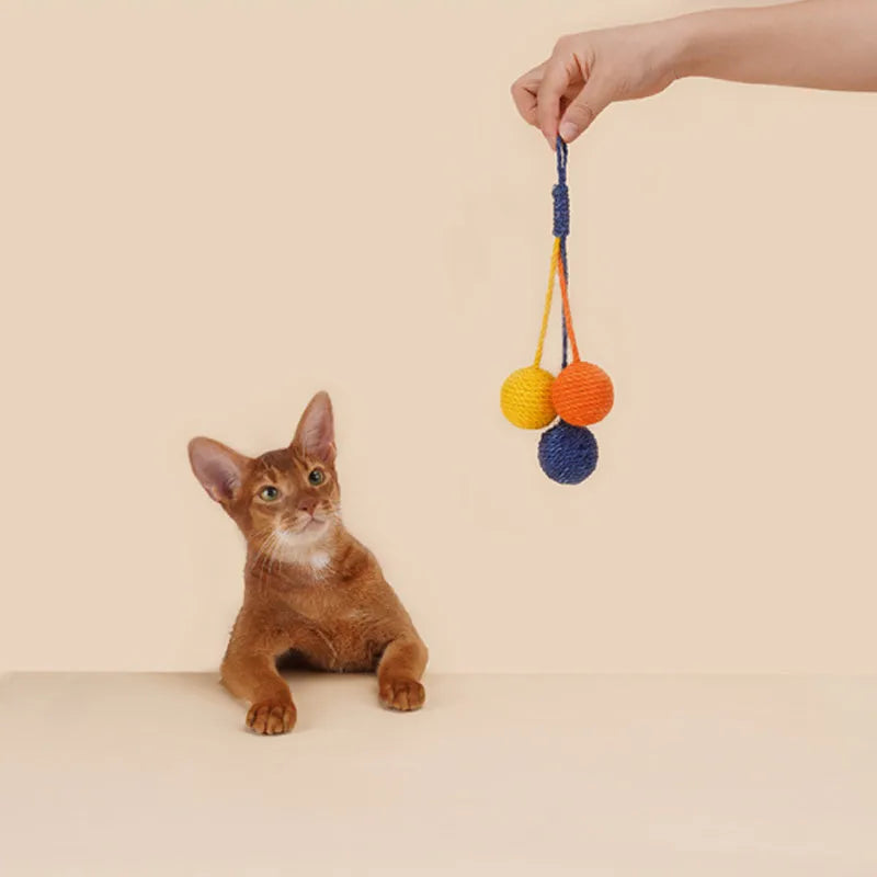 Set of three cat toys: a teaser stick, a catnip ball, and a self-play wand on a blue background.