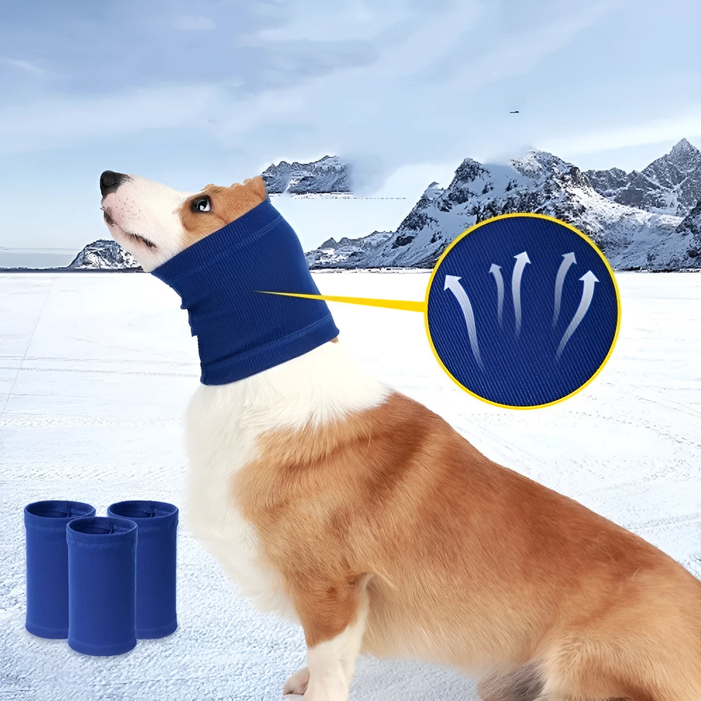 Blue or grey polyester dog headband scarf shown on canine model with S M L sizing options