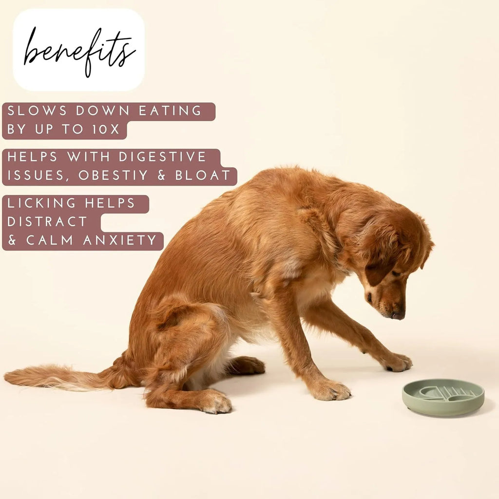 Silicone dog slow feeder bowl with textured ridges, shown in mustard green colour.