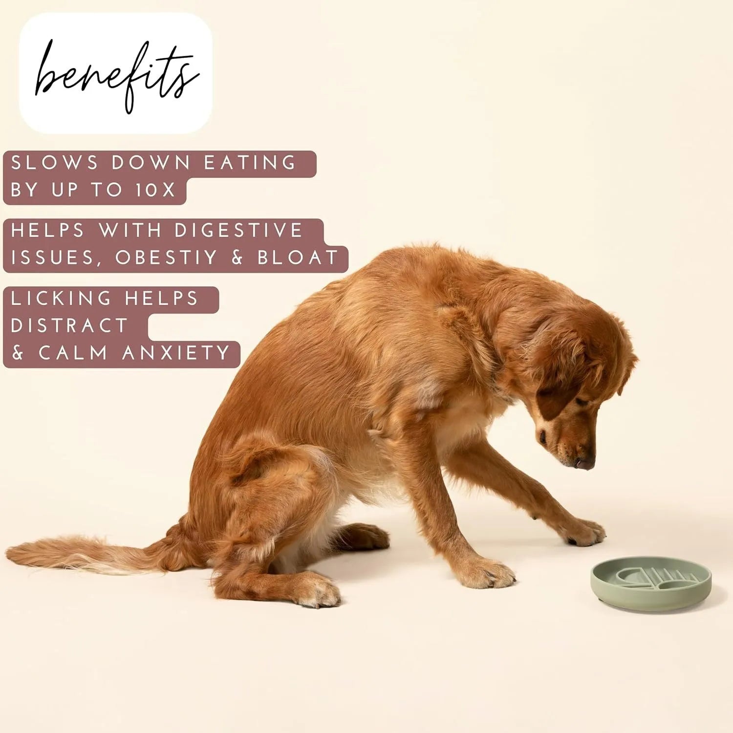 Silicone dog slow feeder bowl with textured ridges, shown in mustard green colour.