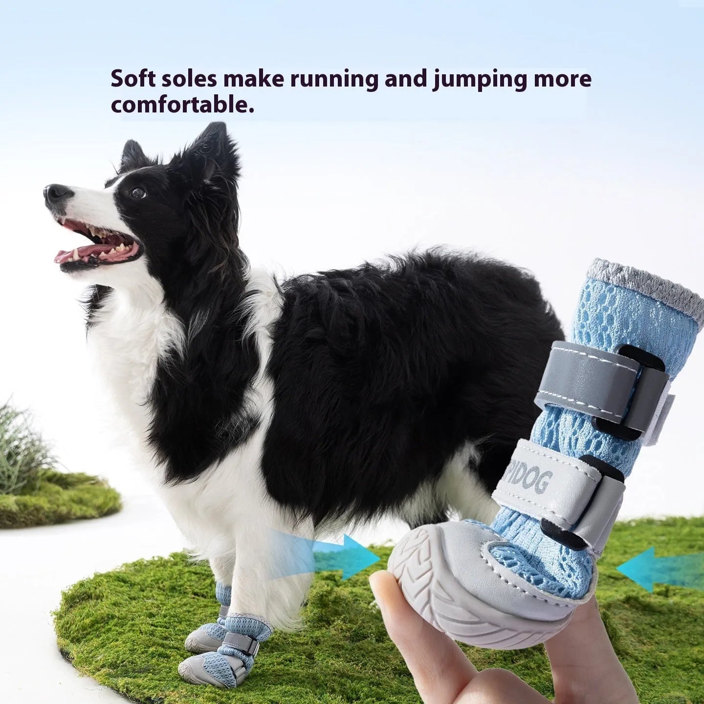 Cartoon style dog shoes in Bondi blue colour with breathable PU construction