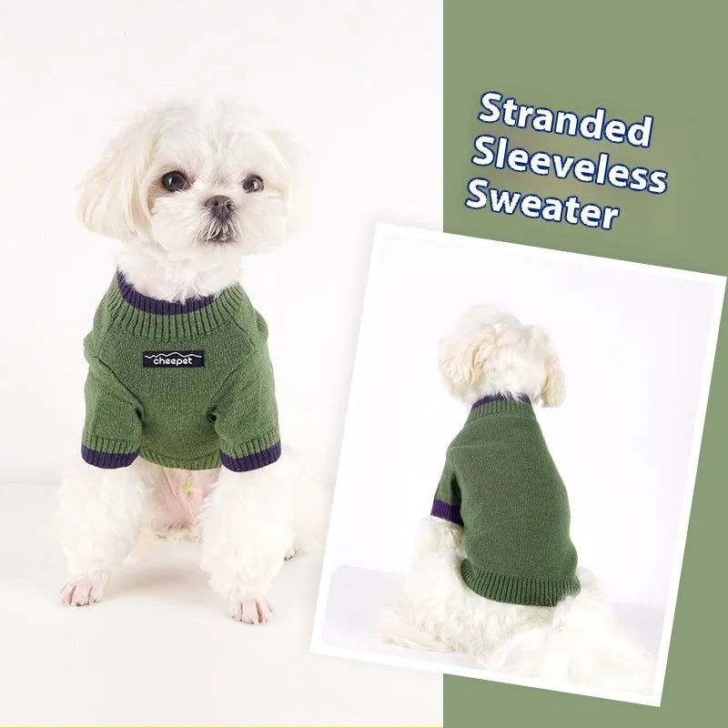 British style two-leg pet sweater in wool for dogs and cats during autumn and winter
