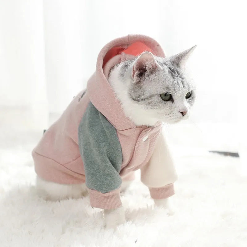 Brown cotton dog sweatshirt for leisure wear, shown on a model.