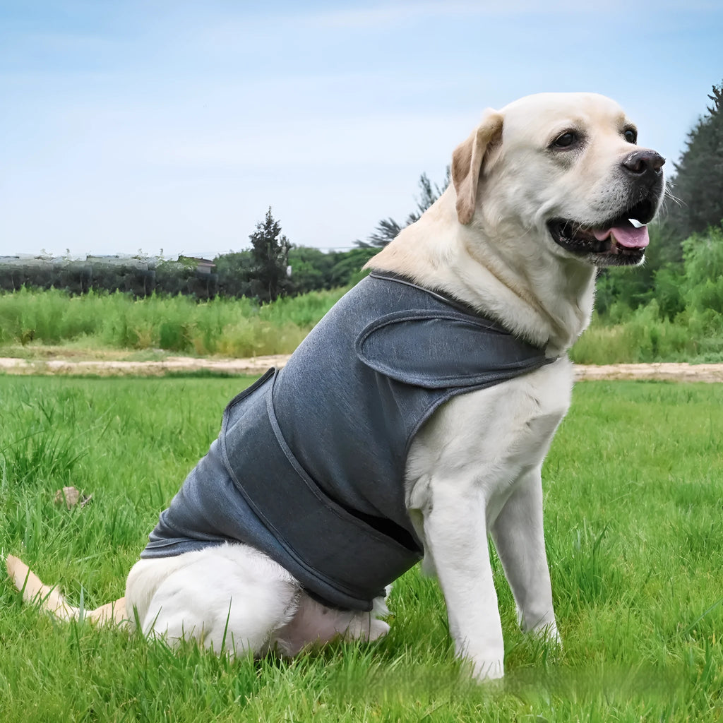 A dog wearing a soft cotton tank top for anxiety relief, shown in a choice of colours including brown, dark blue, dark green, and grey.