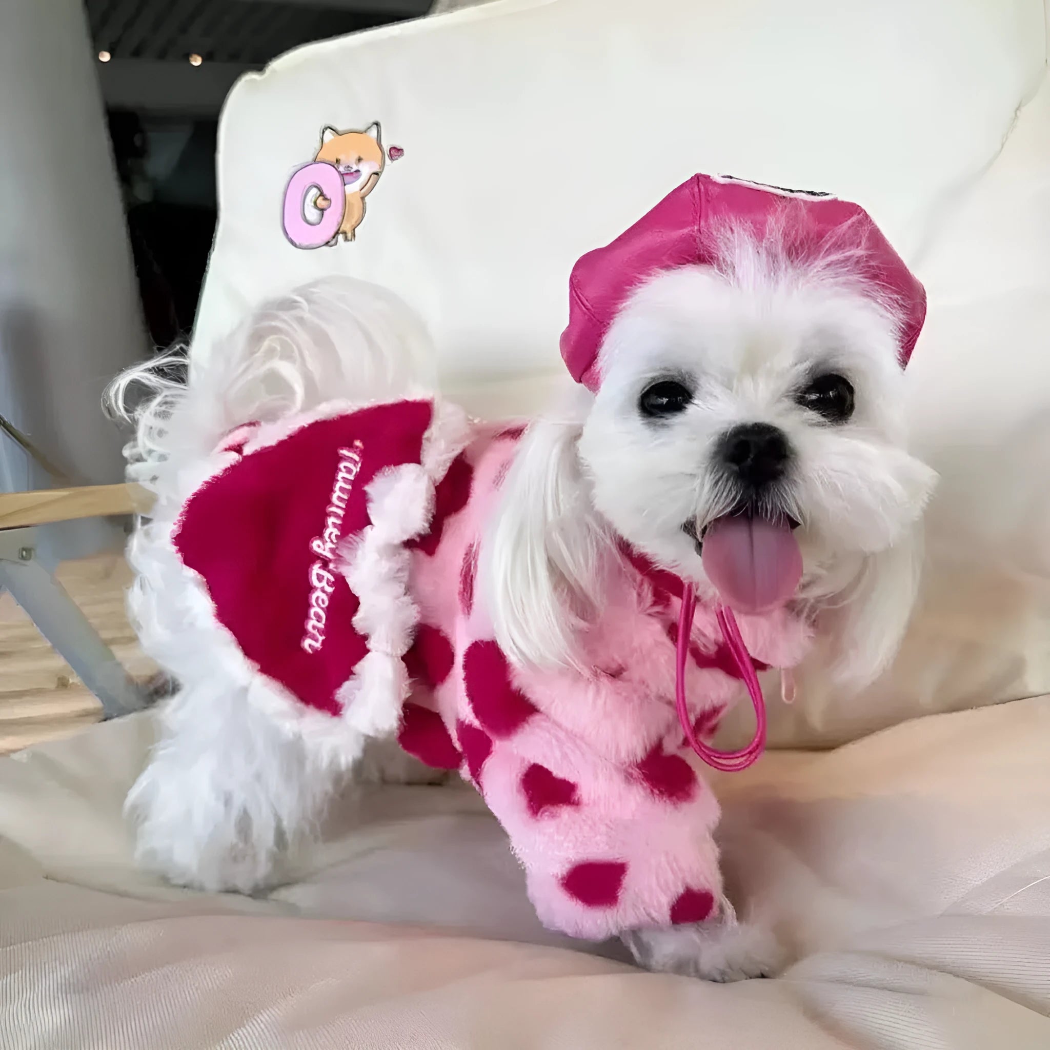 Pink British style polyester warm coat with ruffled collar on small Bichon dog
