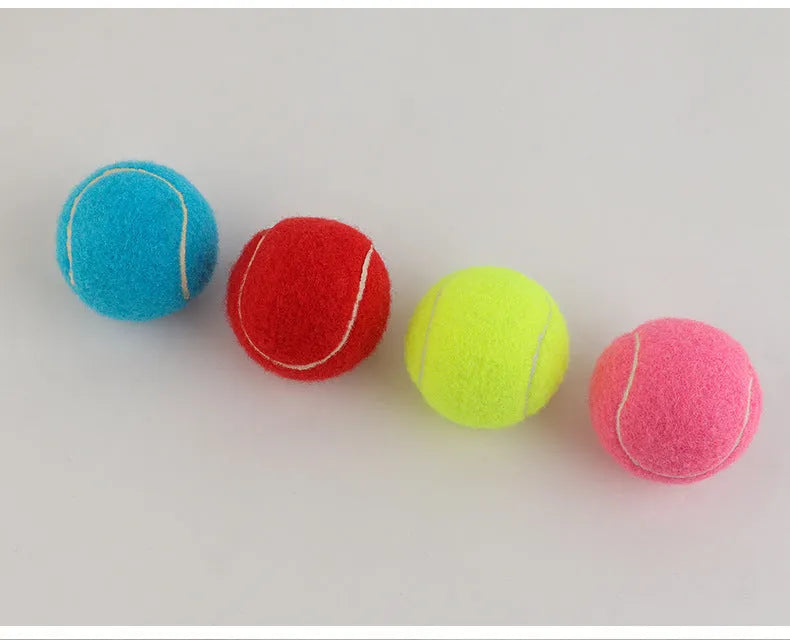 6.3cm bite-resistant rubber tennis ball dog toy in multiple colour options