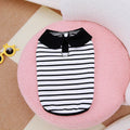 Pet dog wearing striped cotton t-shirt with matching skirt summer outfit set