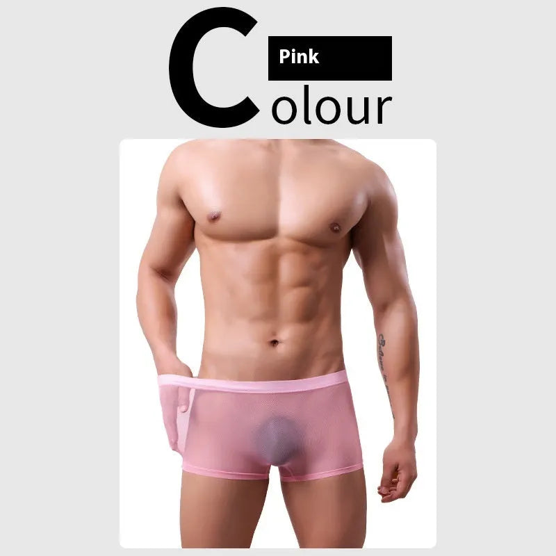 Men's mesh boxer briefs in thin sheer polyester fabric showing low waist design and breathable mesh texture