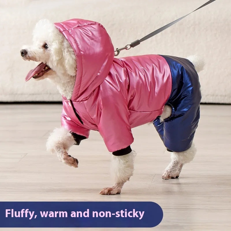 Green waterproof four-legged dog coat with cotton padding on small dog