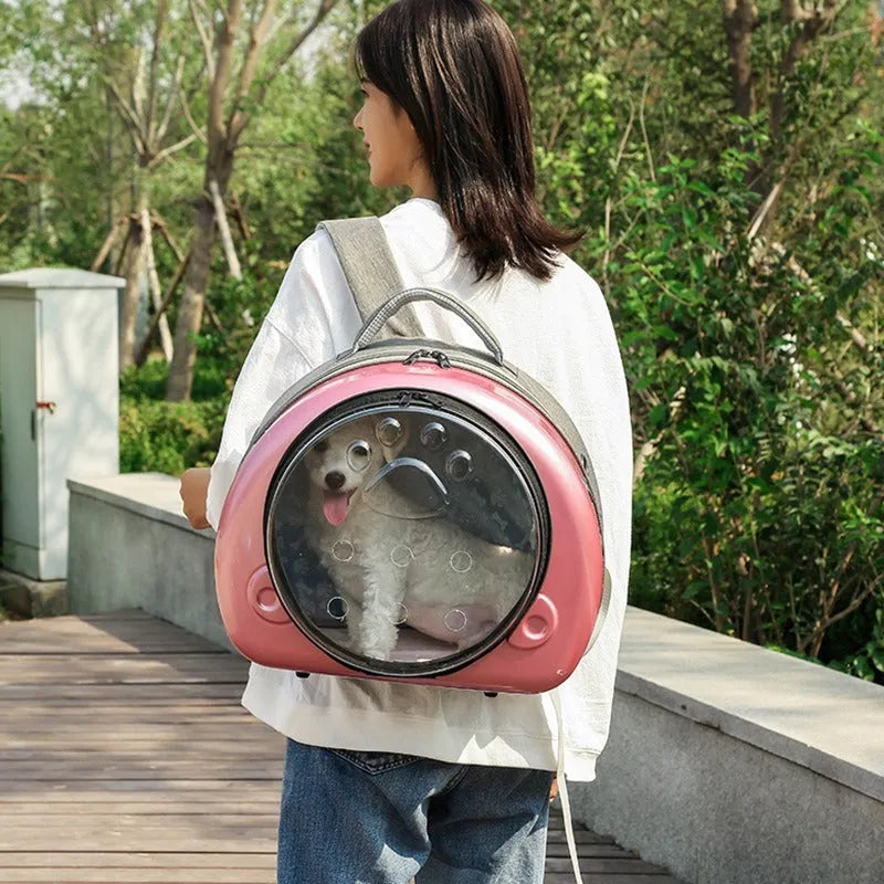 Transparent space capsule cat carrier bag in PC canvas, shown in Rose Gold, Luxury Silver, and Champagne Gold colour variants.