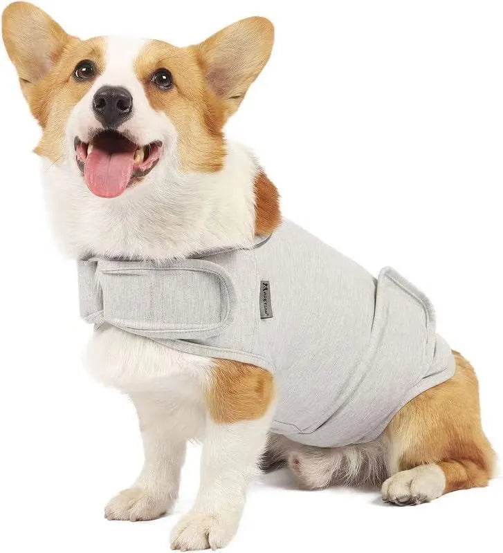 A dog wearing a soft cotton tank top for anxiety relief, shown in a choice of colours including brown, dark blue, dark green, and grey.