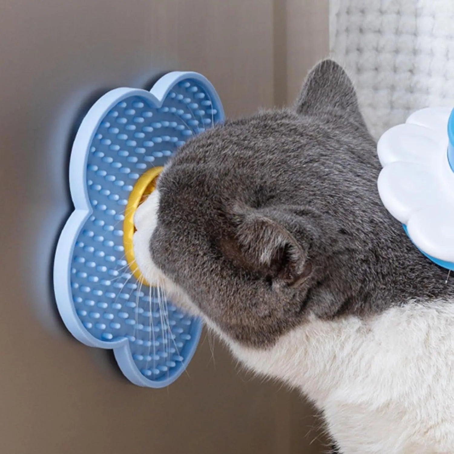 Flower-shaped silicone pet lick mat with suction cups in a choice of colours.