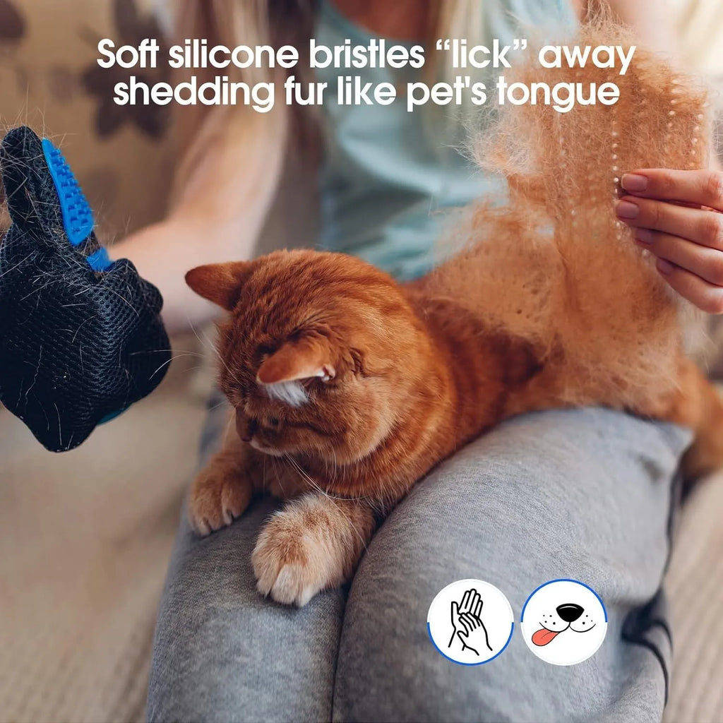 Blue pet grooming gloves with silicone tips for removing hair from dogs cats horses