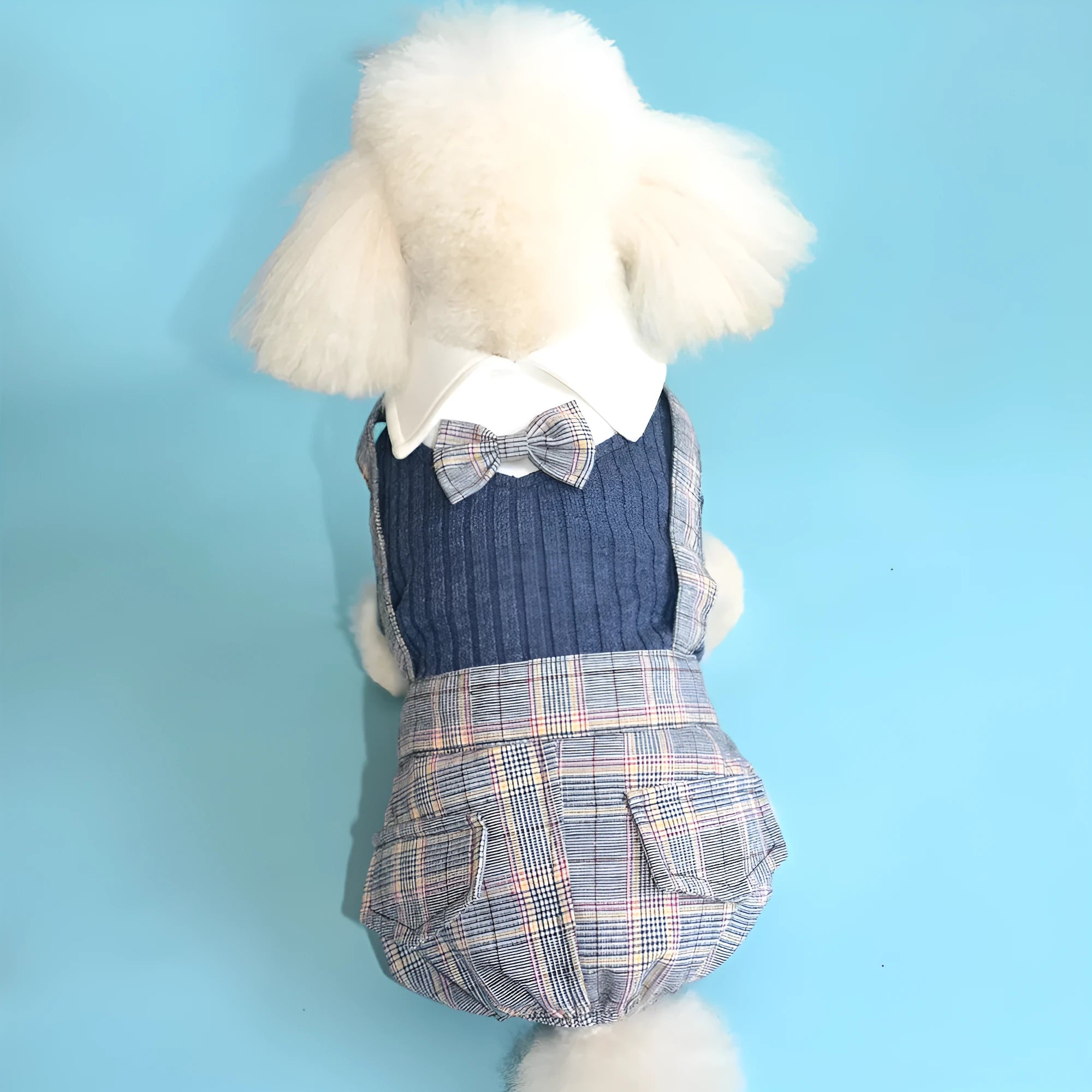 Dog wearing cotton shirt in orange or dark blue with collar and button design