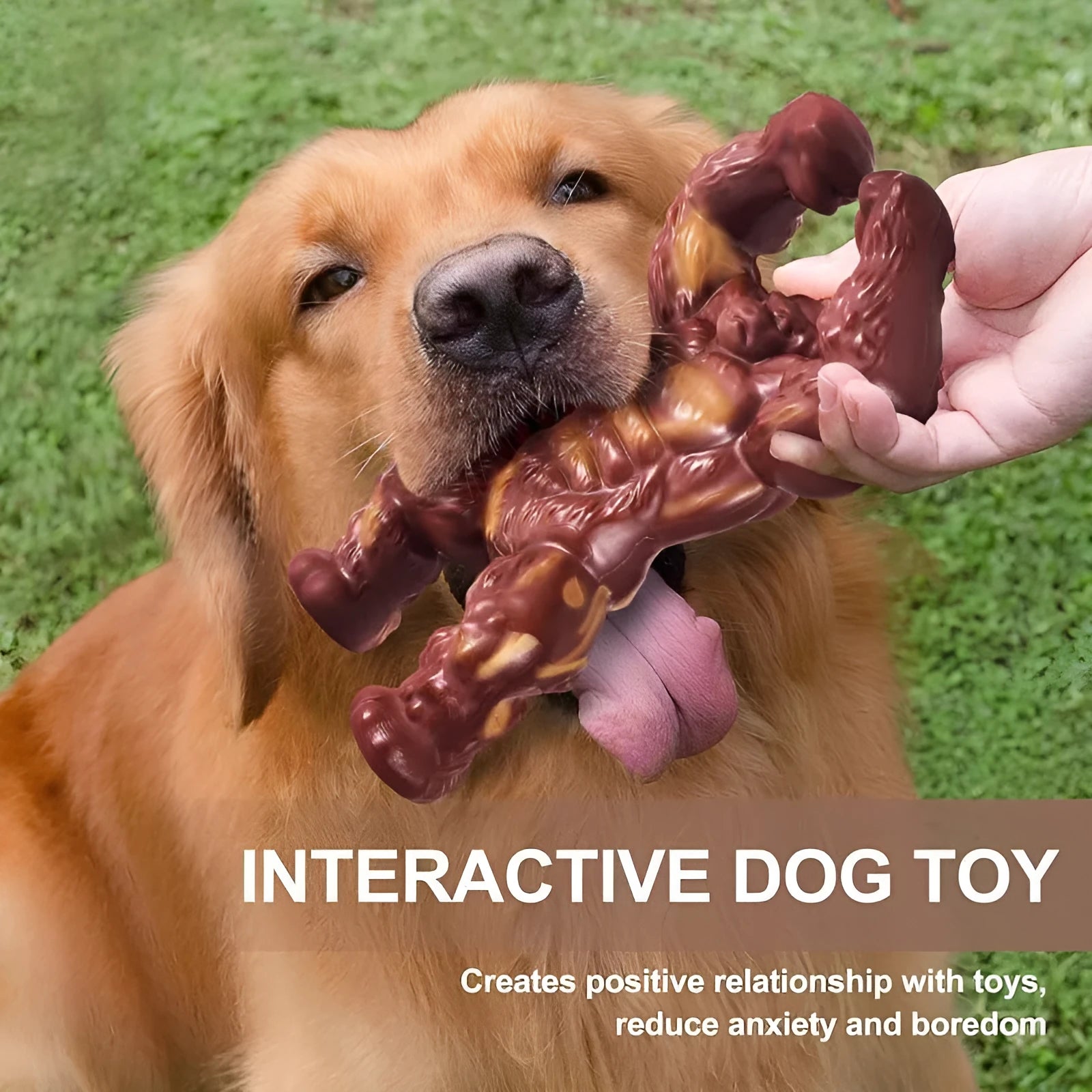Scarlet red nylon dog chew toy with beef flavour and textured surface for molar nibbling