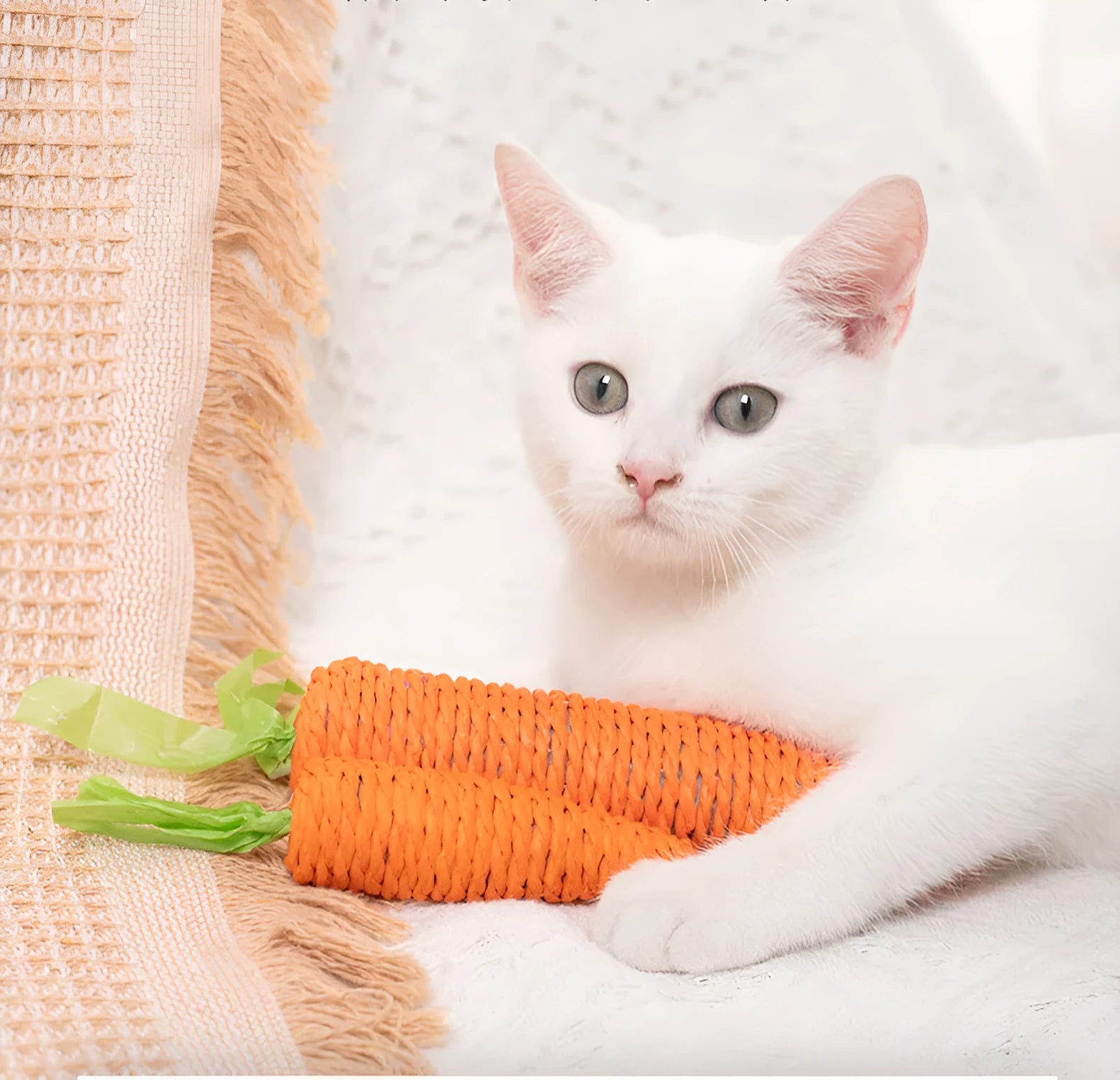 Assortment of cat toys including paper carrot bites, ringing stones, interactive sticks, and dental grinding sticks