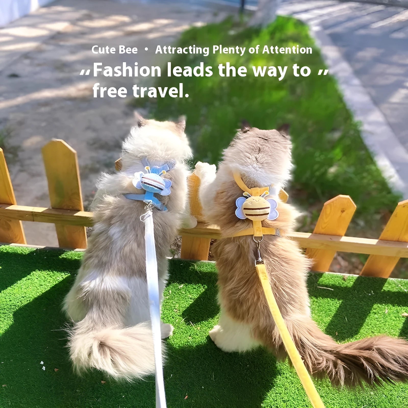Bee-shaped cat harness and lead set in polyester with teddy bear motifs