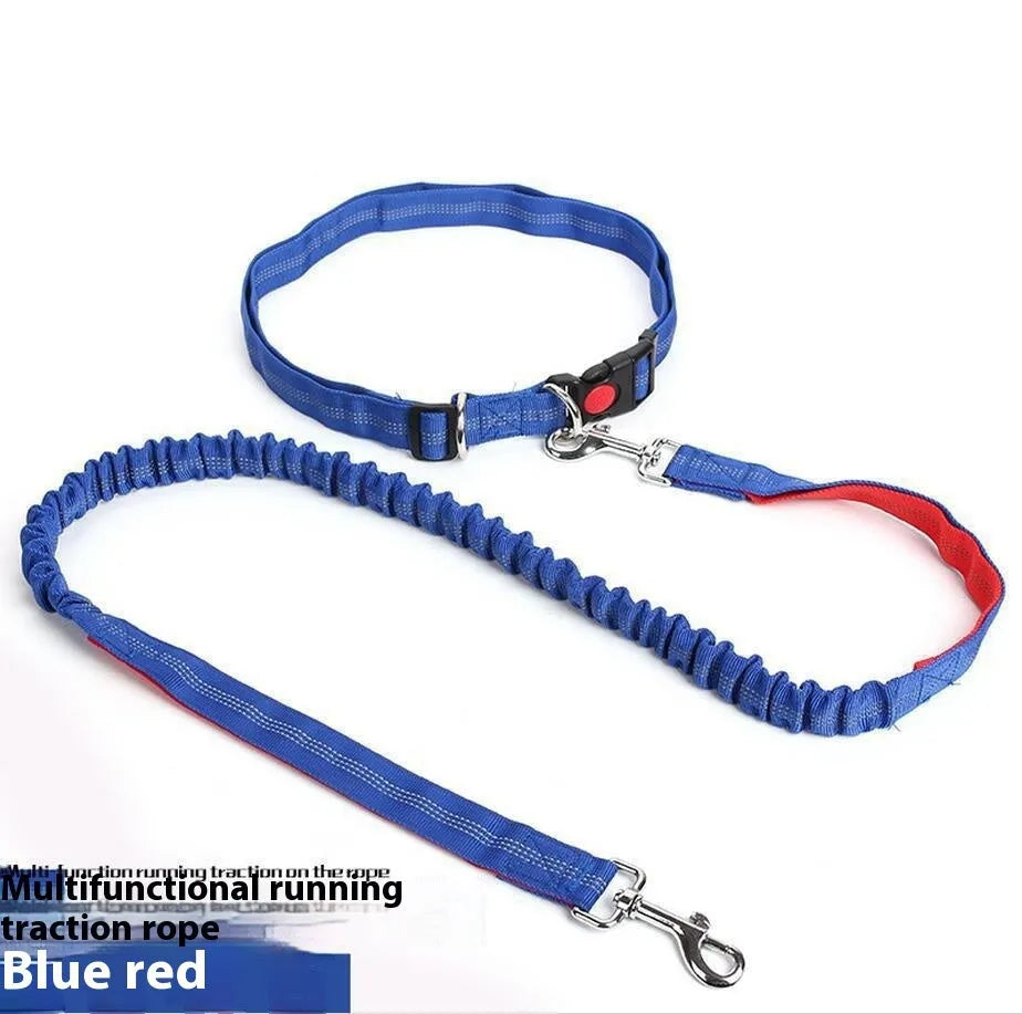 Grey and green two-tone reflective nylon dog leash showing 2.5cm width and clasp.