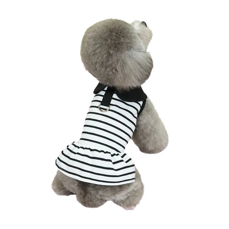 Pet dog wearing striped cotton t-shirt with matching skirt summer outfit set