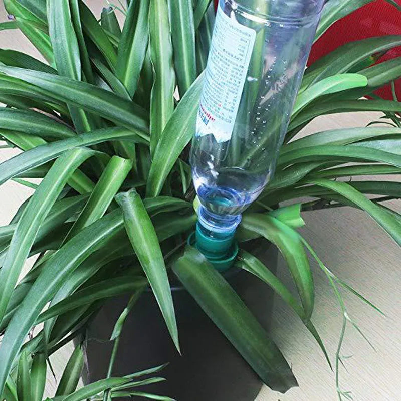 Green ceramic water dripper device for use with a cola bottle for automatic plant watering.