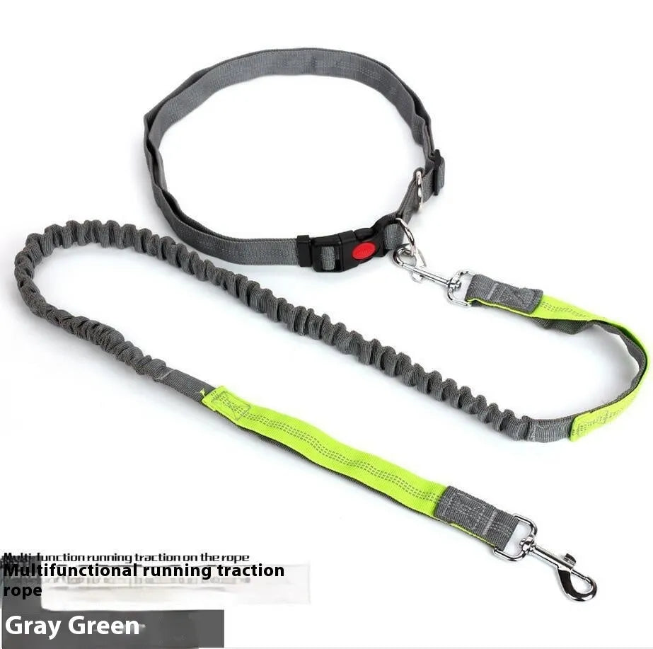 Grey and green two-tone reflective nylon dog leash showing 2.5cm width and clasp.