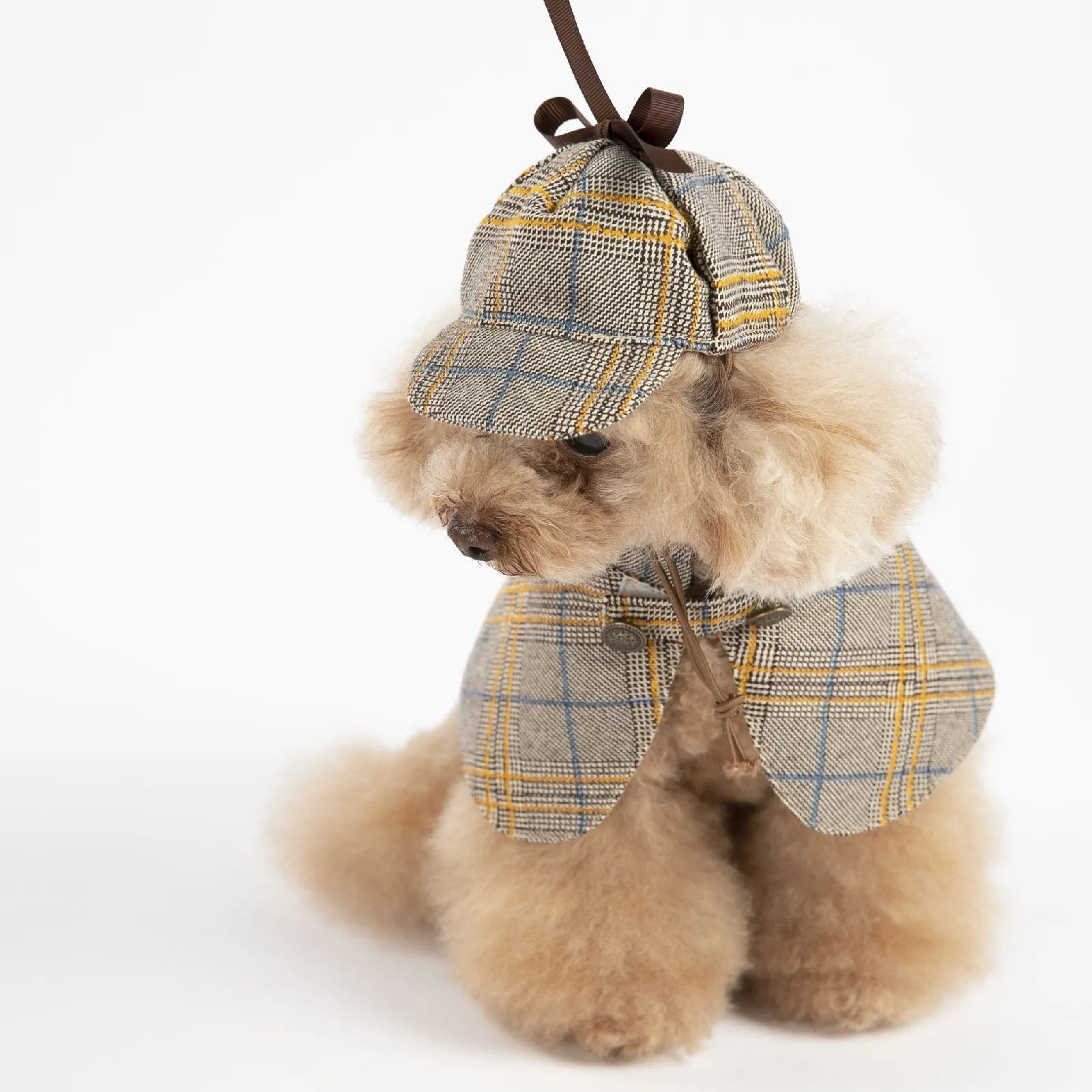 Camel-coloured personalised cotton cloak for a dog, shown with an adjustable hat.