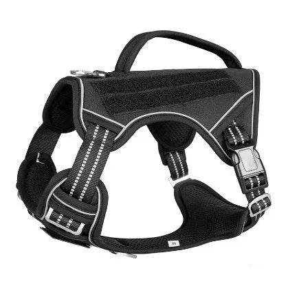 Tactical dog chest strap in oxford cloth, shown in olive green colour on a working dog.