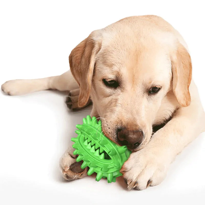Green cactus-shaped dog chew toy with textured cleaning surfaces and central treat channel