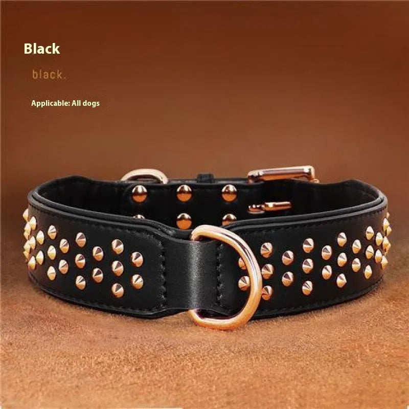 Leather dog collar with brass anti-bite rivets in black, shown with metal buckle.