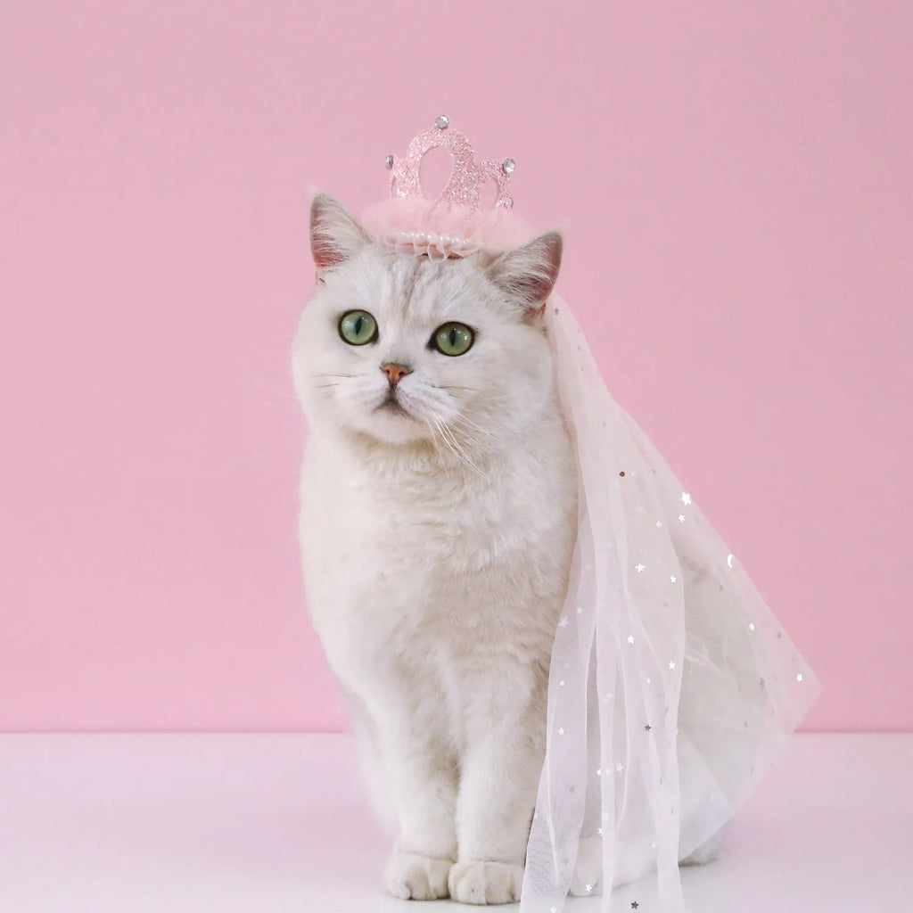 Pet cat wearing a princess crown headdress with a long veil, available in beige or pink.