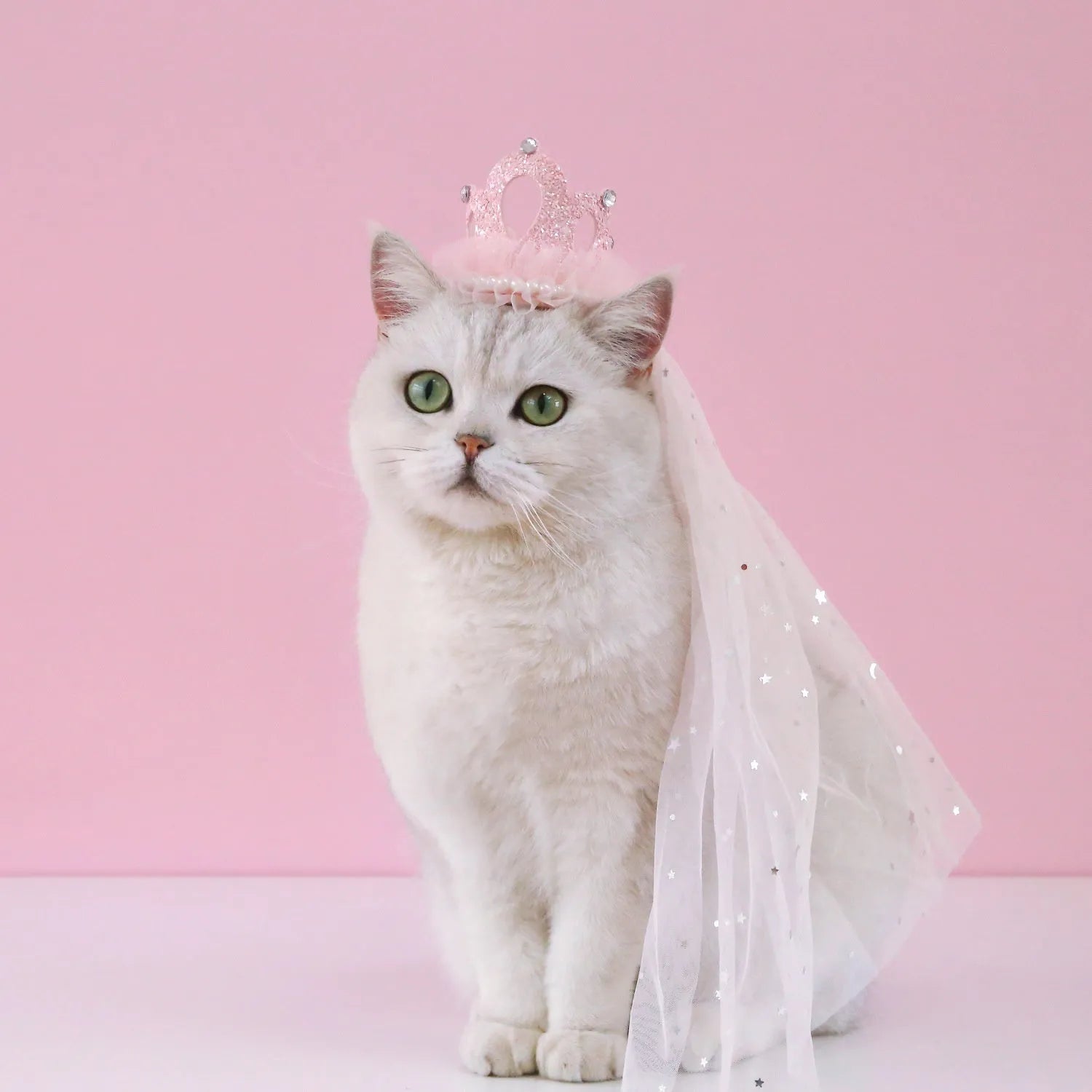 Pet cat wearing a princess crown headdress with a long veil, available in beige or pink.