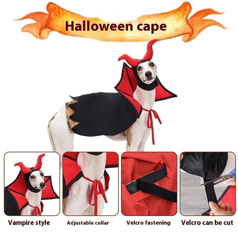 Black pet vampire costume with cloak and hat for Halloween dress up