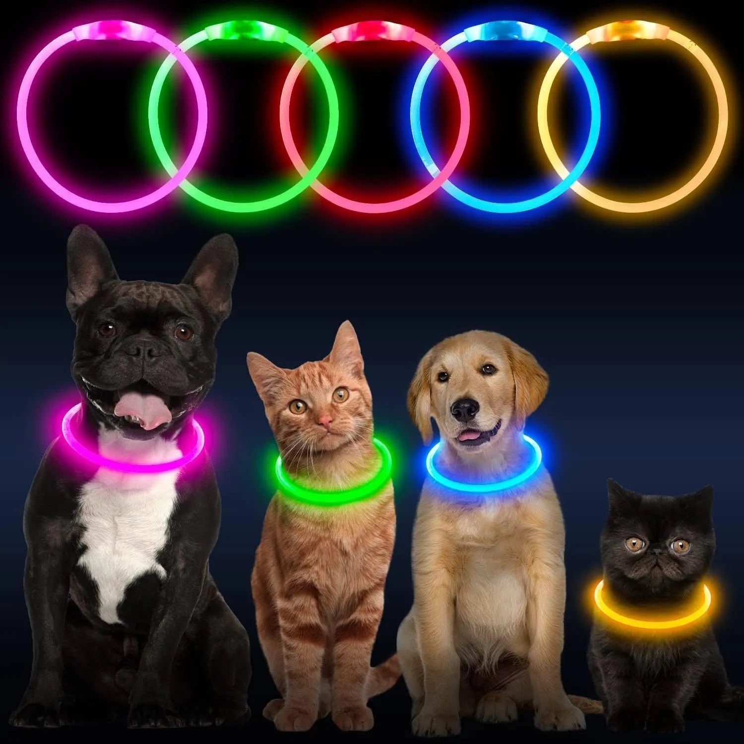 USB rechargeable LED dog collar glowing in dark with adjustable strap