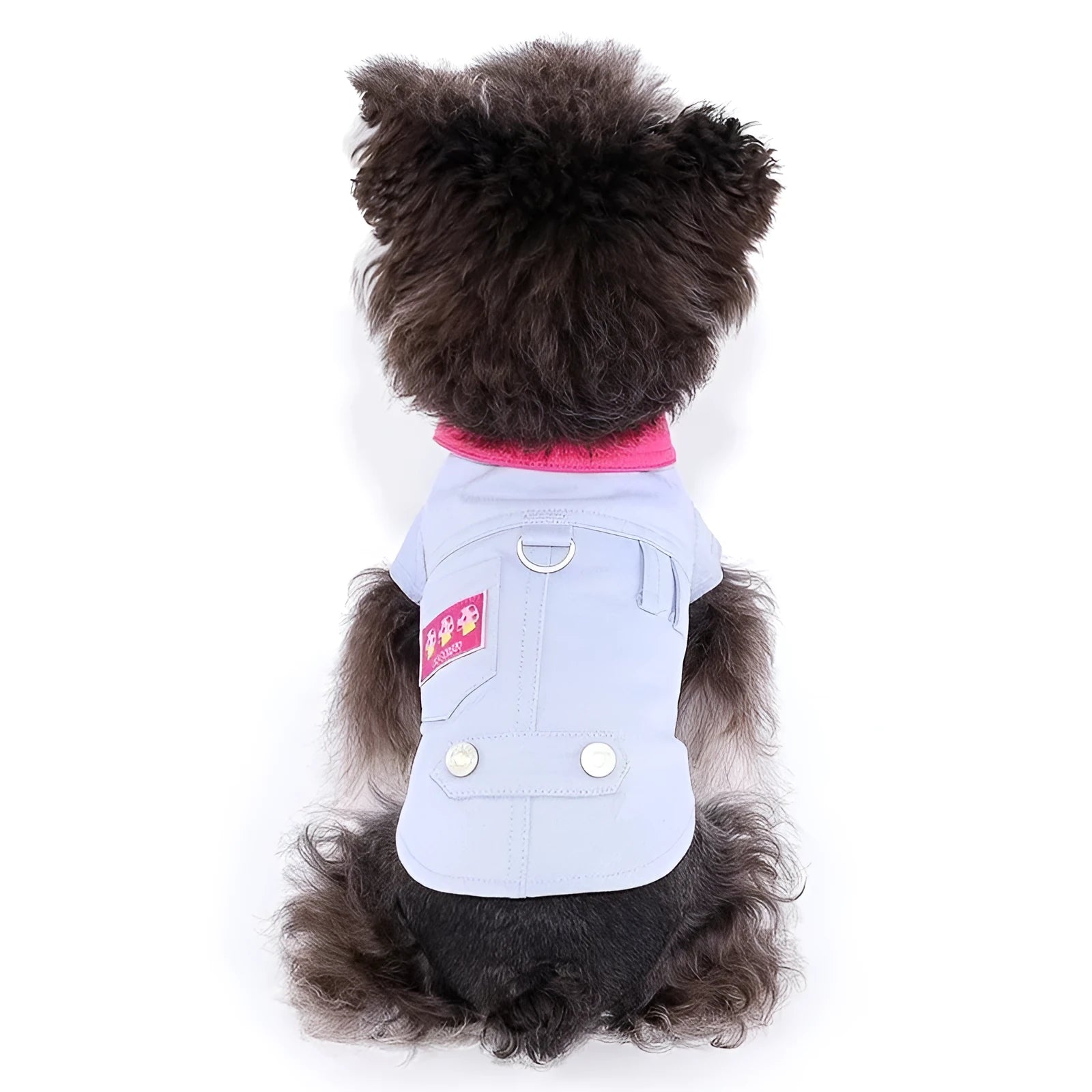 Blue and purple polyester dog vest harness with a metal lead attachment ring for small dogs.